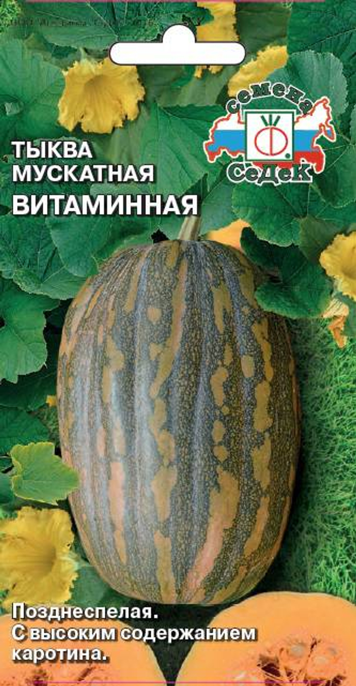 Тыква Витаминная (мускатная) (ЕВРО 2) *10 СеДек