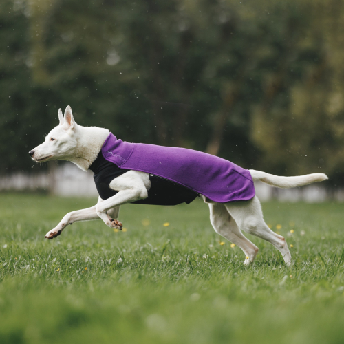 Флисовая кофта DOGLEA СПОРТ КОМФОРТ