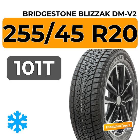 Bridgestone Blizzak DM-V2 255/45 R20 101T