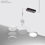 Комплект накладных светильников Lightstar Mobiled 036540-2