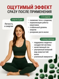 Микс Спирулина+хлорелла (400 гр)