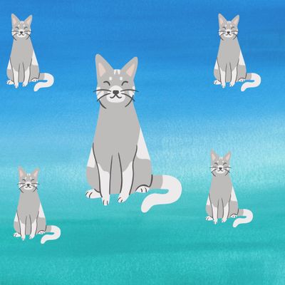 Котики для счастливой жизни