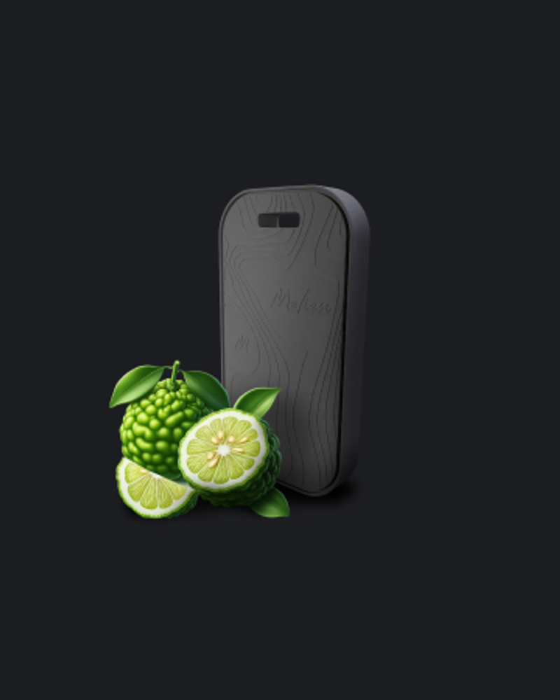 Melien Bergamot (бергамот) керамический ароматизатор (Свежий, цитрусовый аромат с травяными и древесными оттенками)