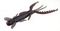 Виброхвосты съедобные LJ Pro Series HOGY SHRIMP 2,2in (5,6 см), цв. S19, 10 шт.