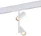 Трековый светильник ST808 ST808.536.16 ST Luce