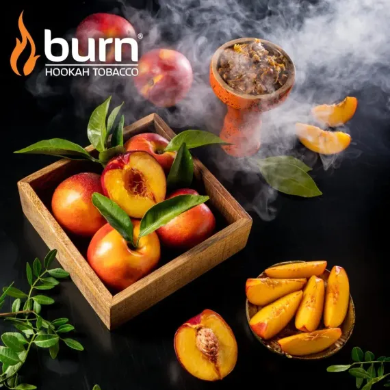 Burn - Nectarine (100г)