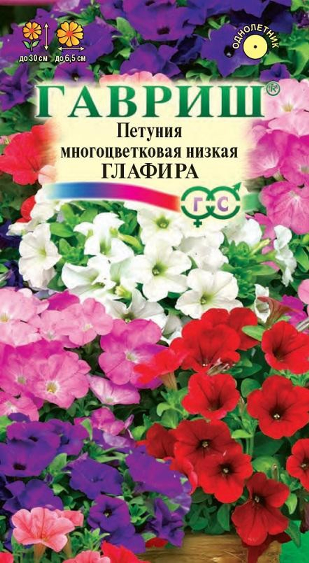 Петуния Глафира низкая смесь 0,1г Гавриш