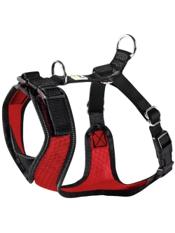 Шлейка анатомическая для собак Manoa XS (35-41см)