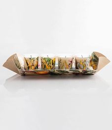 Xmas Capsule, подарочный набор ароматических свечей Capsule collection, Pernici