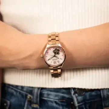 Наручные часы Citizen PC1017-70Y
