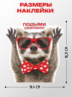 Наклейка с Енотом на унитаз Подыми сидушку