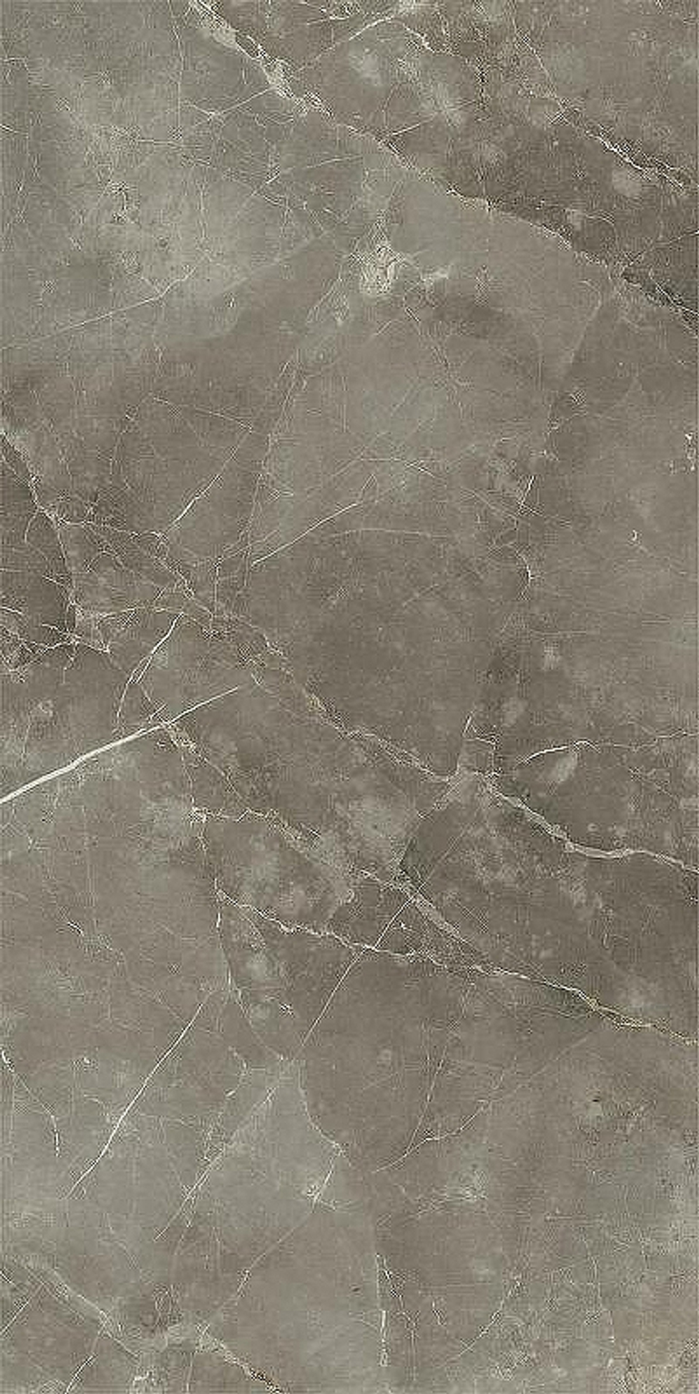 Керамогранит Italon Stellaris Tuscania Grey люкс 610015000688 80х160 см