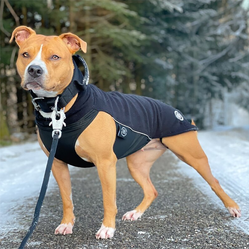 Флисовая попона Dog Fleece BullyBillows