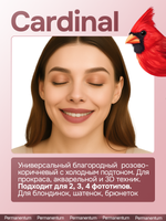 Сет пигментов NYSE GOLD для бровей и губ (12шт)