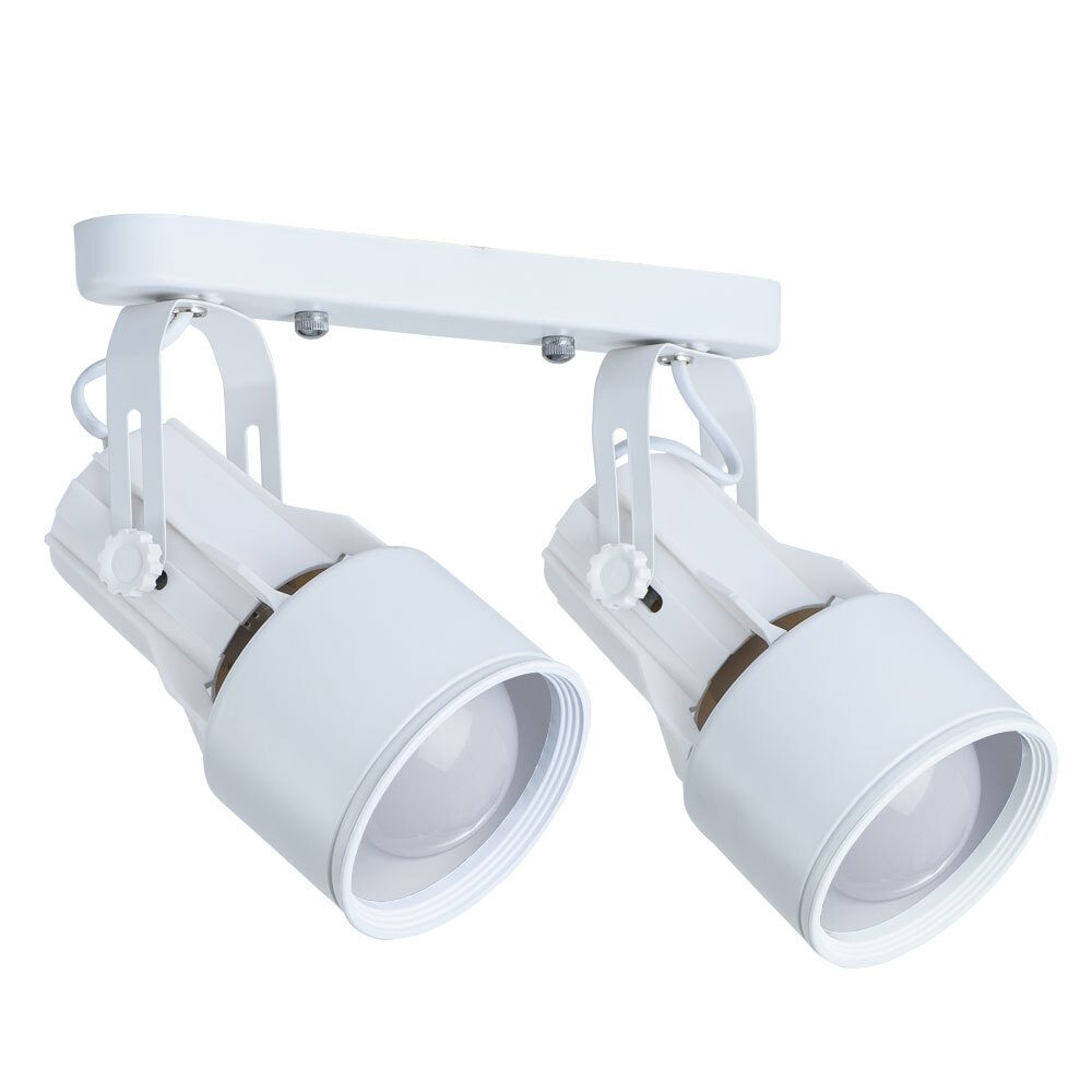 Светильник потолочный Arte Lamp Lyra A6252PL-2WH