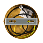 Подвесной светильник Freya Planetary FR6081PL-L10G