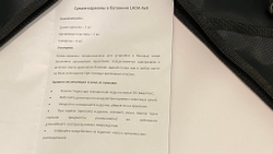 Сумки-Карманы в багажник Нива Шевроле/Тревел (комплект)