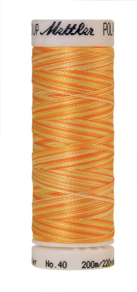 Нить вышивальная Mettler Poly Sheen Multi 40 (200 м), 5 кат. | цв. 9925 Нить вышивальная Mettler Poly Sheen Multi 40 (200 м), 5 кат. | цв. 9925