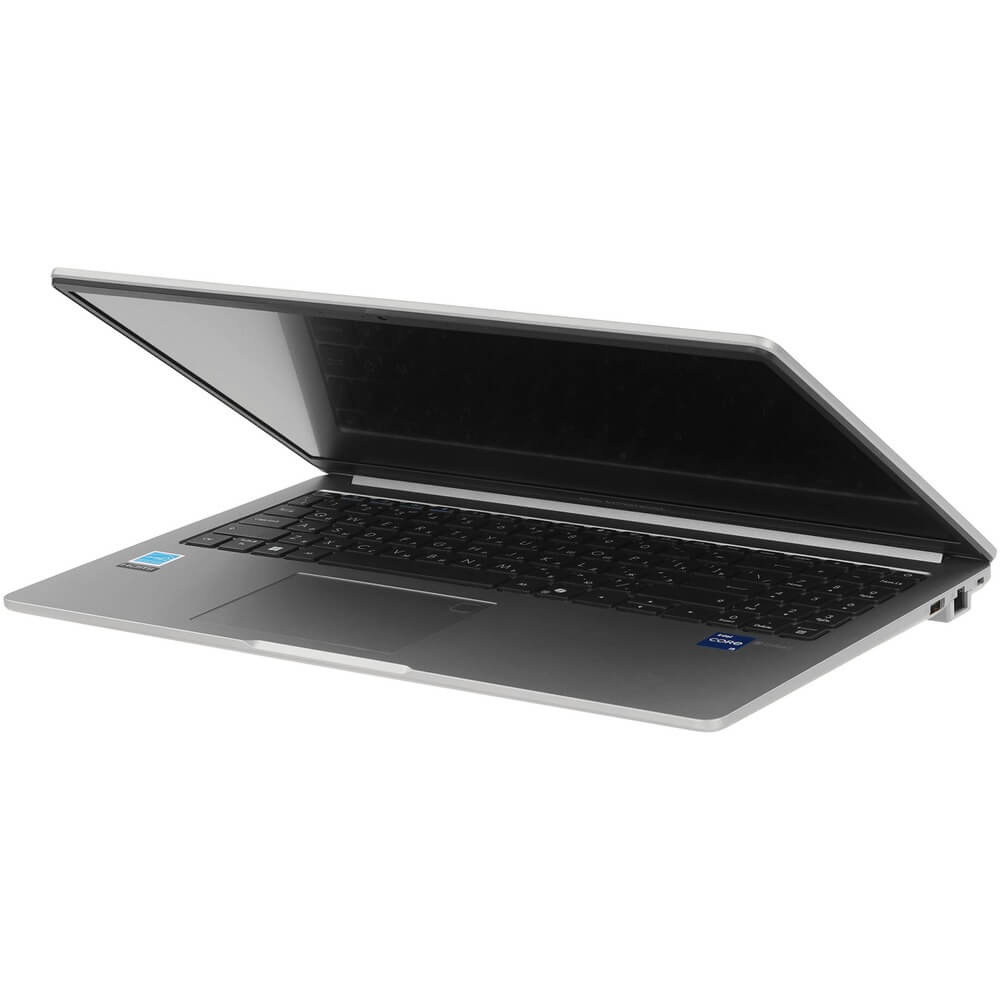 Ноутбук ASUS ExpertBook P1 P1503CVA-S70986 (90NX0881-M012W0)
