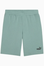 Шорты Puma Essentials No. 1 Logo - зеленый