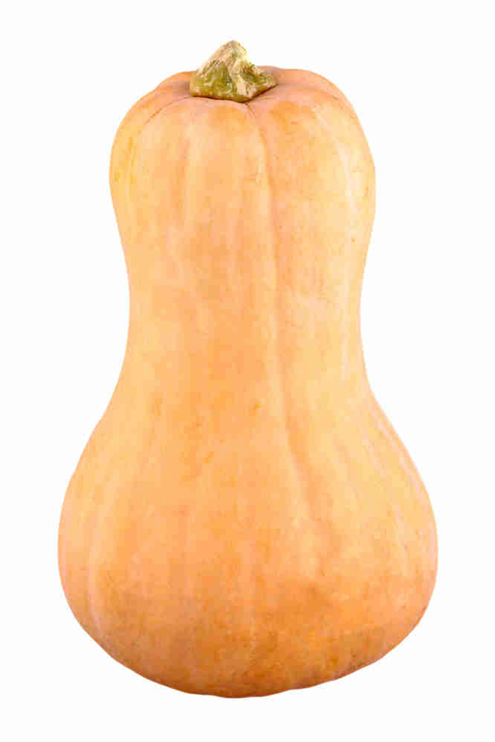 Тыква