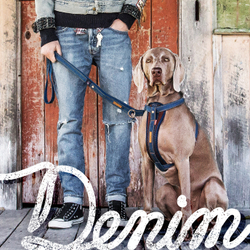 Шлейка Chest Plate Denim EzyDog
