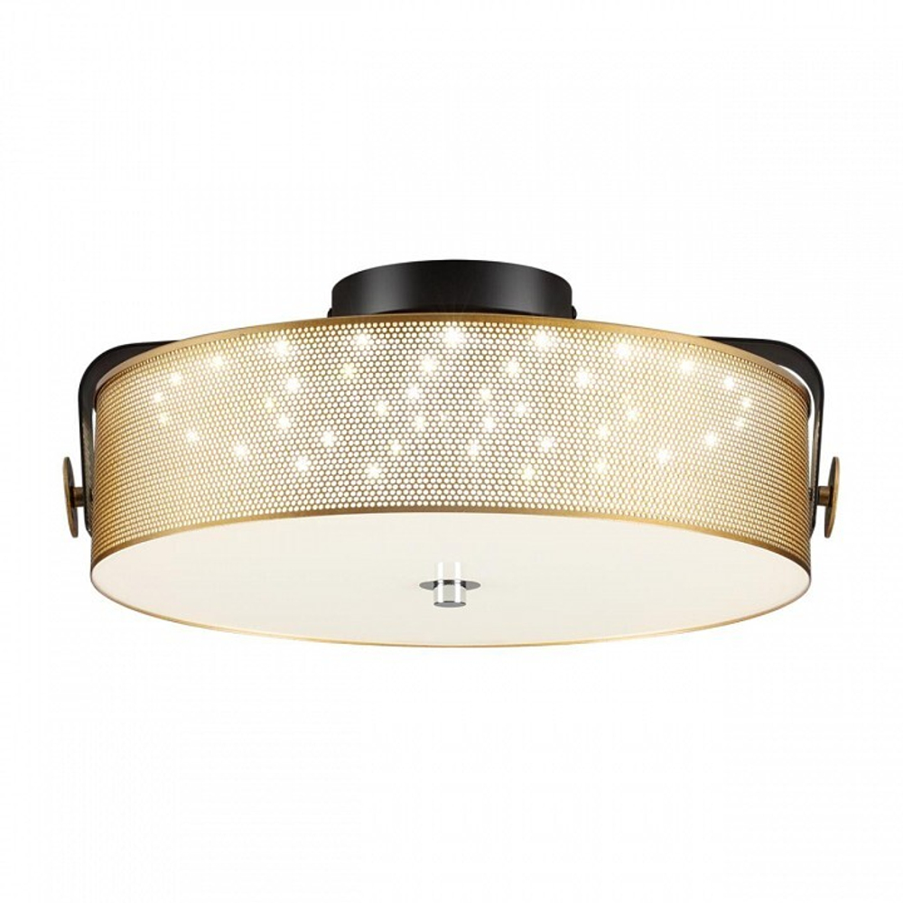 Накладной светильник Lumion Drumy 6597/40L