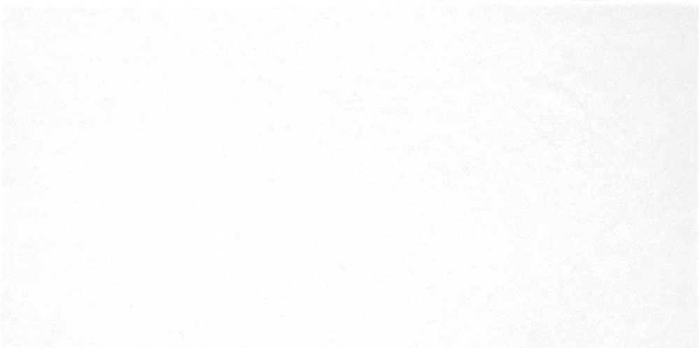 TWU09MNR020 плитка облицовочная Моноколор / Monocolor 249*500 (12 шт в уп/80,676 м в пал)