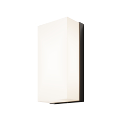 Уличный настенный светильник Outdoor O454WL-L10GF3K
