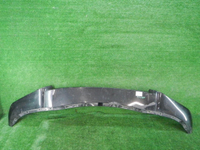DSCN9572.JPG