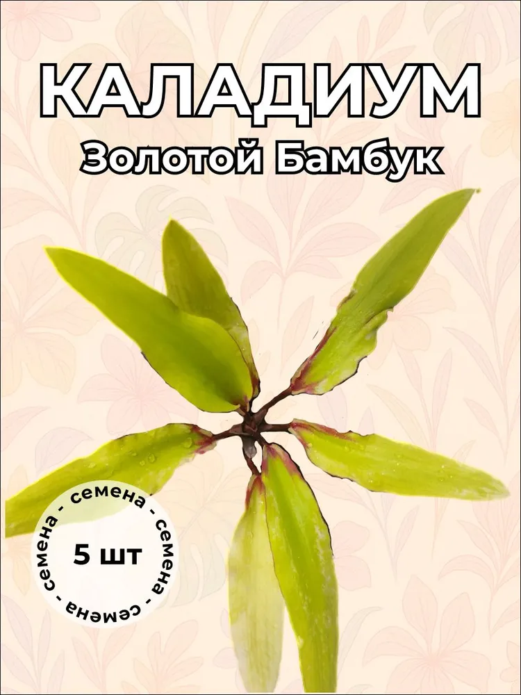 Каладиум Золотой Бамбук семена 5 штук