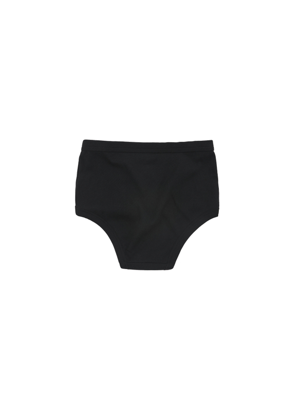 BRIEFS
