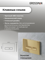 Комплект 2 в 1: Grossman инсталляция Pragma 900.K31.01.000+клавиша смыва 700.K31.03.300.300 золото глянцевый,2 места