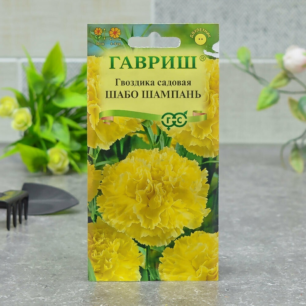 ГВОЗДИКА Шабо Шампань Гавриш Ц (10шт)