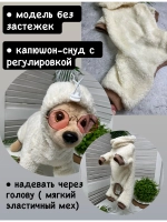 Комбинезон Тедди для собак и кошек