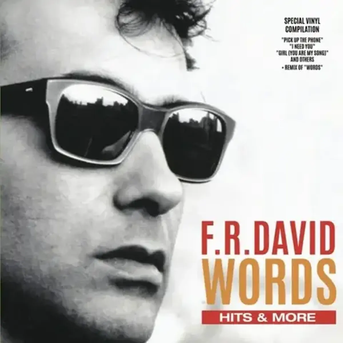 Виниловая пластинка. F.R.David - Words – Hits & more