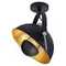 Спот Шерелвуд SY5289 Lussole LGO
