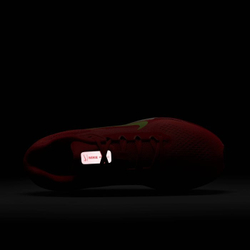 Кроссовки мужские NIKE NIKE AIR WINFLO 11