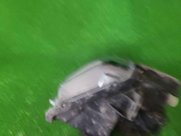 IMG_20260911_120339.JPG