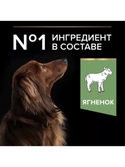 Корм для собак Ягненок 3кг
