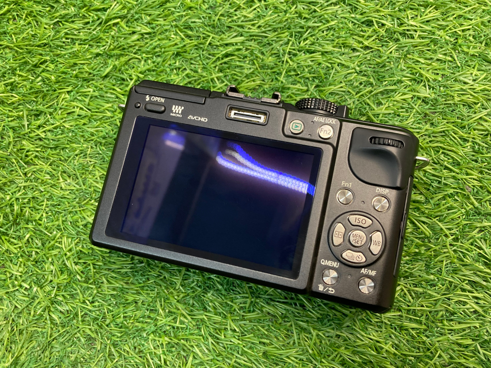 Panasonic Lumix DMC-GX1 400 кадров