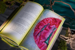 Дюймовочка