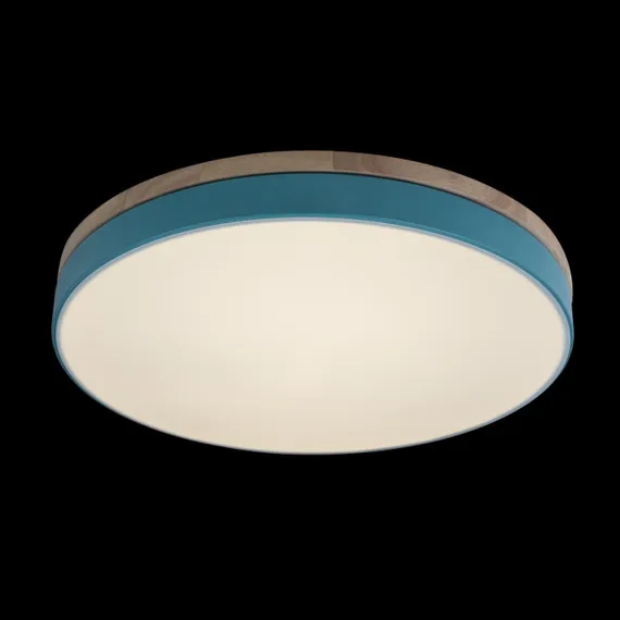 Потолочный светильник Axel 10001/36 Blue Loft It