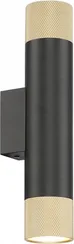 Настенный светильник Delta 2365-2 BK+BR iLedex
