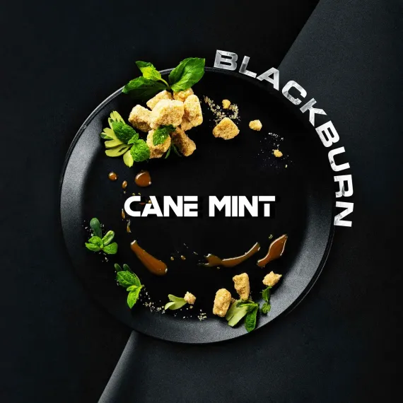 Black Burn - Cane Mint (100г)