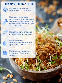 Набор органических семечек тыквы 2 шт и белого льна 1 шт