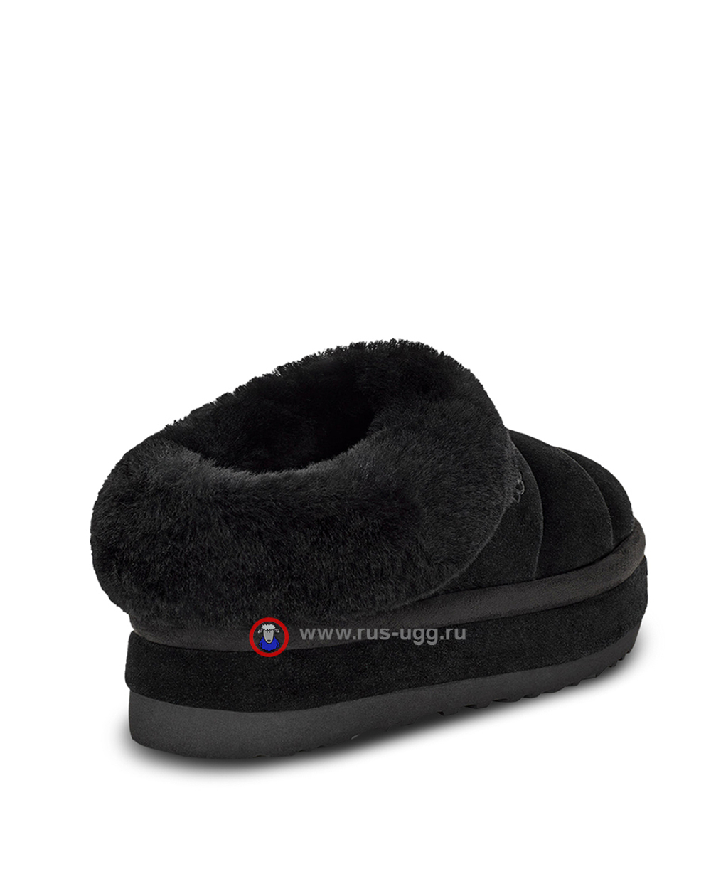 TAZZLITA Black