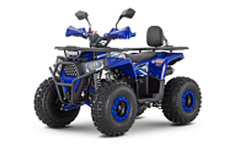 Квадроцикл WELS Trail 125 Pro