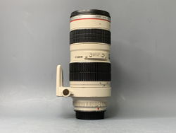 Canon EF 70-200mm f/2.8L USM с дефектом