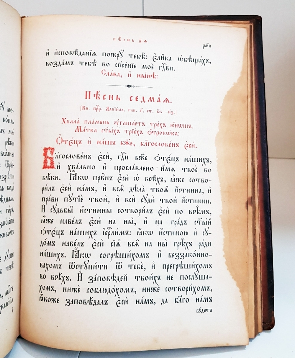 "Псалтырь". 1904г.